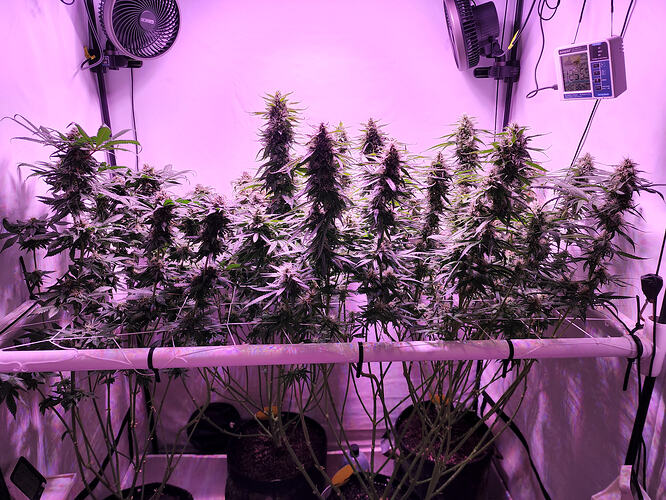 d60596e4-3275-4b96-ac15-aff74b3ce87c-1_all_1039