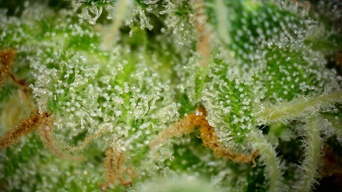 WIN_20240719_18_38_16_Pro