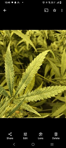 Screenshot_20240617_004852