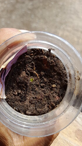 1665684790541705353174022464444