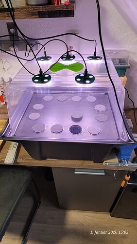 Tag 0 gibt es zum Abschluss eine leichte Beleuchtung und bald folgen die Klone 1.1.26