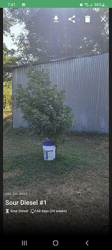 Screenshot_20220724-194144_Jane