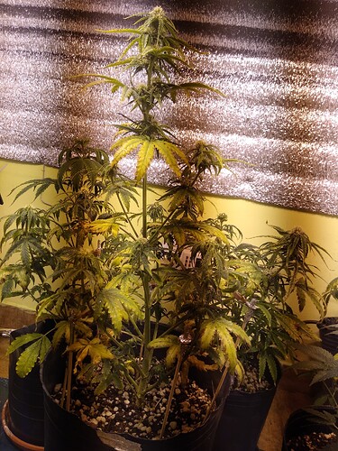 IMG_20230723_084048053