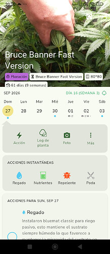 Captura de pantalla 2026-10-26 205108