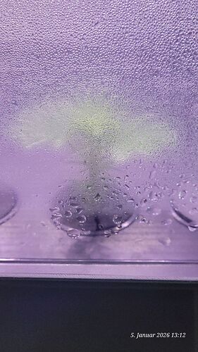 Tag 4 Klon 1 Verwurzelung 5.1.26