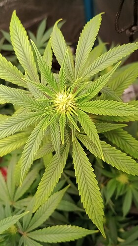 IMG_20250915_094016340