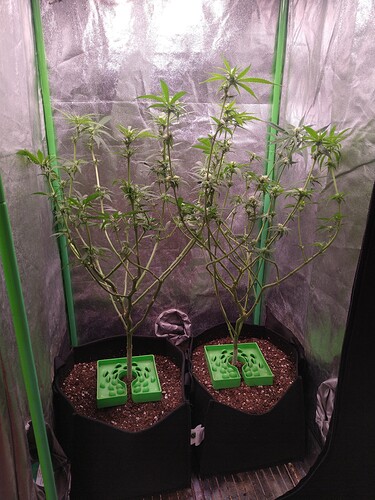 IMG_20230125_235706861