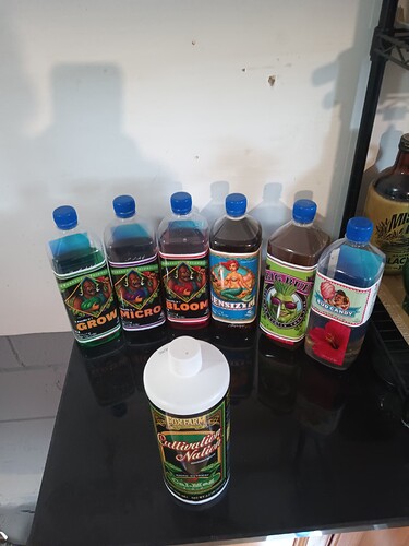 17065608084248378856174111263330