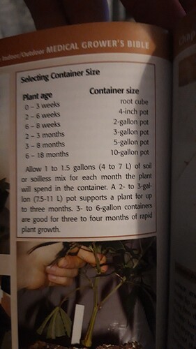 16946438163895100872271064525244