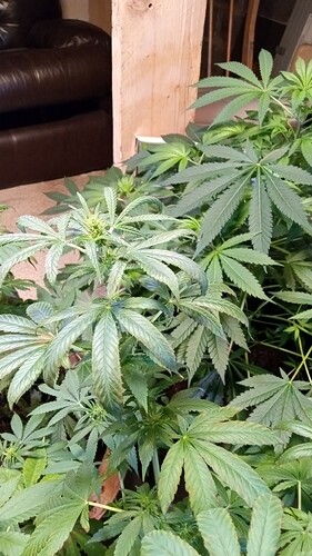 IMG_2023-09-20-01-06-48-335