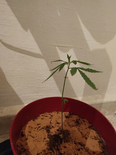 photo_2022-12-31_21-21-15