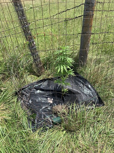 74146324566__FDFAB6A2-00B1-485B-8023-A09E73765935