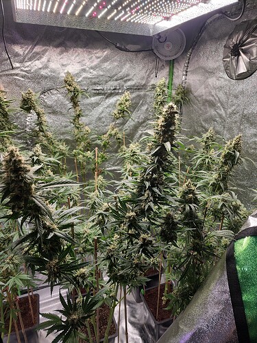 IMG_20220719_083038_01