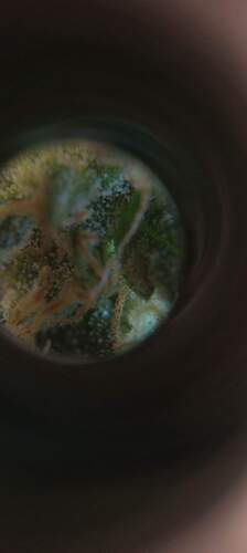 received_1234912297072761