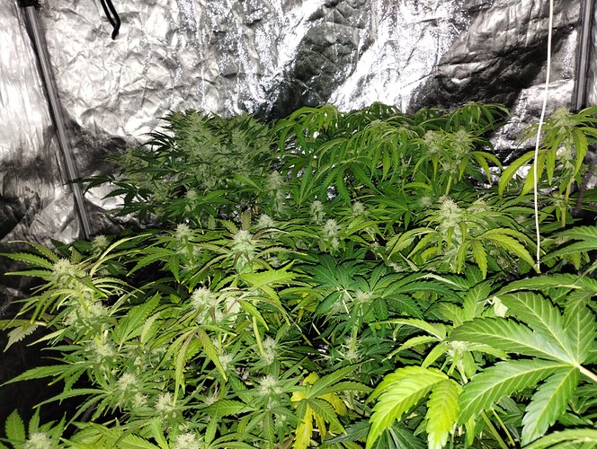 IMG_20230926_232344385