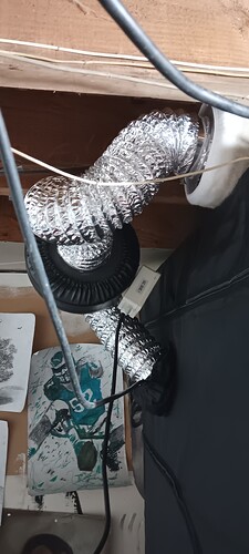 1701603174706310720391993539620
