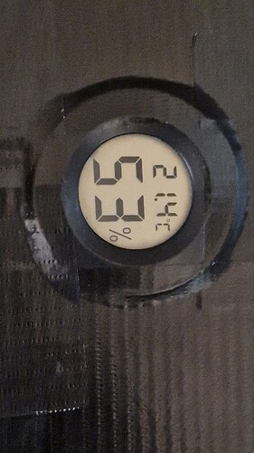 1000062619