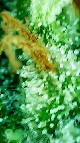 2024_08_02_20_08_18_014