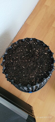 Das war der Fast Diesel Topf , nun Wochen am ruhen