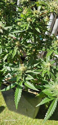 1747923554683139622288974294054