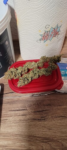 Tag 105 nun zur Aushärtung