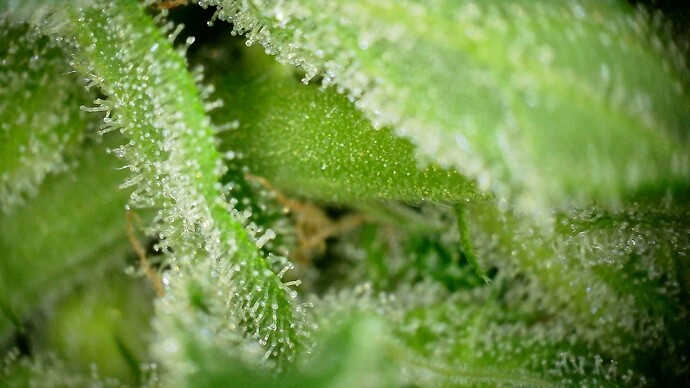 WIN_20240719_18_51_55_Pro