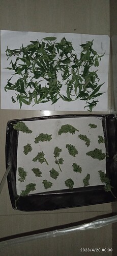 IMG_20230420_003018