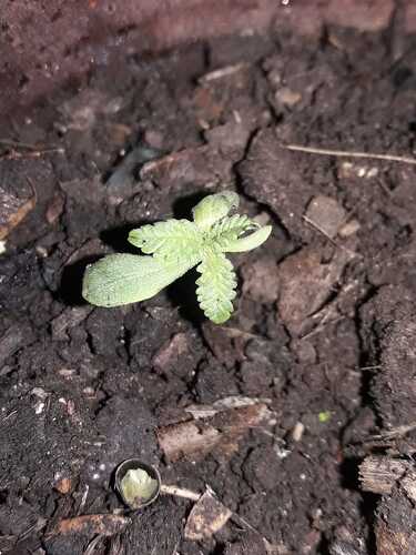 P-IMG-20230924-WA0000