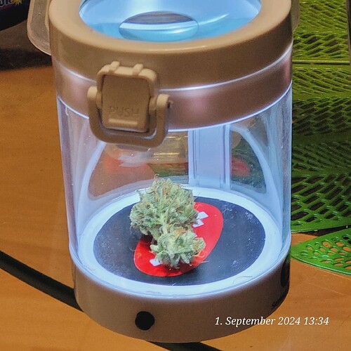 Tag 105 ein geiles teil Trichome zu sehen 1.9.24