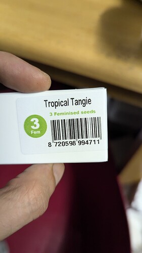 1000026778