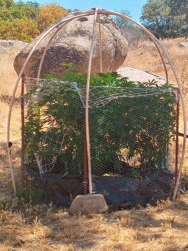 20230629_114239_HDR