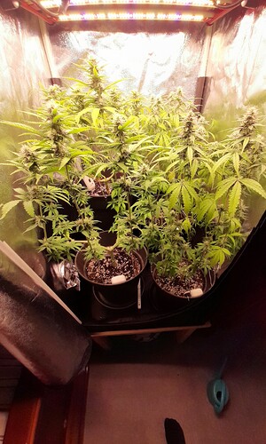 20260530_171529