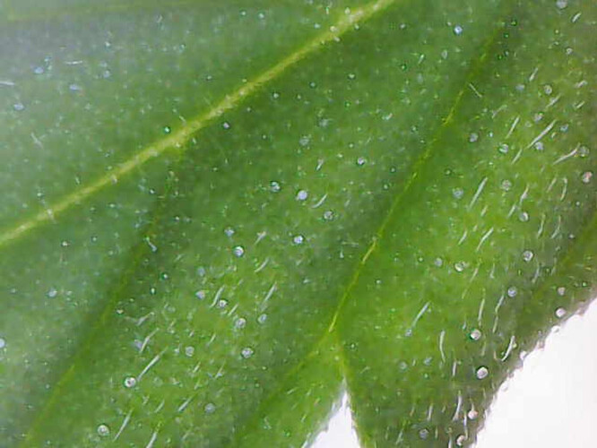 Image_2024-05-28 23_42_56_221