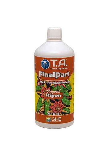 final-part