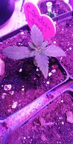 received_654130422834669