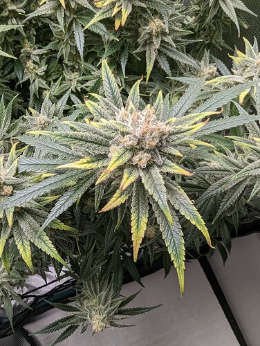 PXL_20230226_111446339