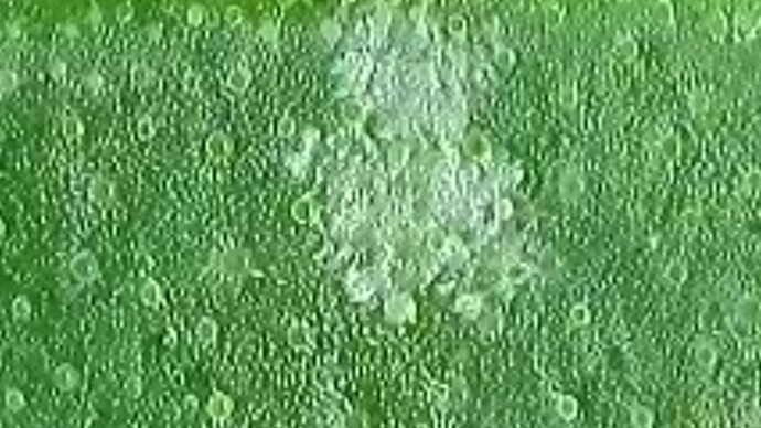 2024-09-17-162544953