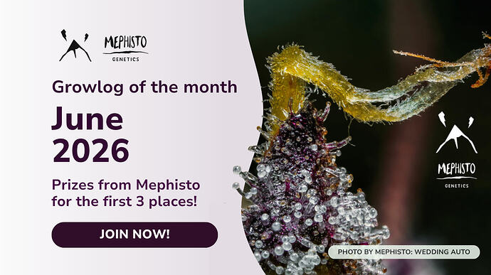 Growlog of the Month Community Banner Mephisto June