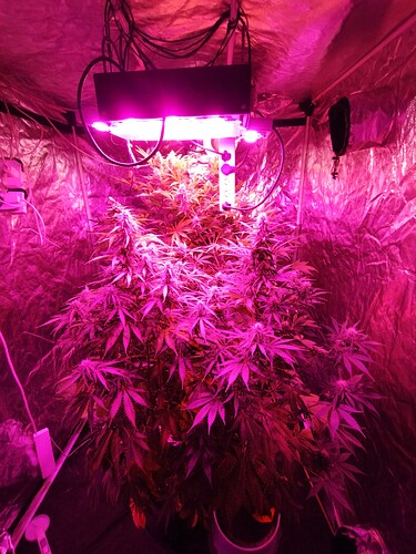 IMG_20230513_190625938