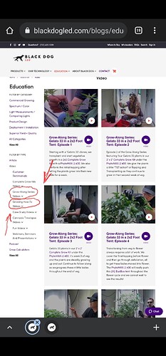 Screenshot_20220811-195228_Gallery