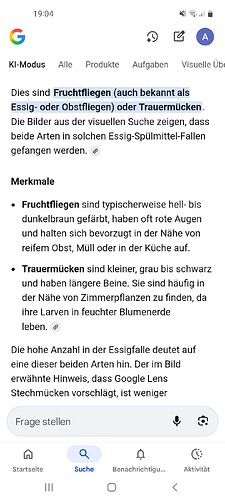 Screenshot_20251217-190401_Google