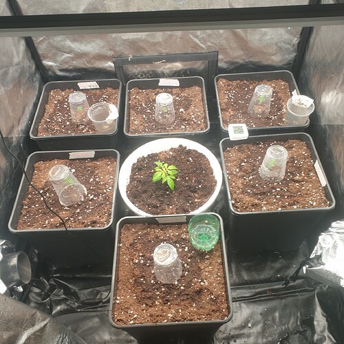 thumbnail_20251127_194603