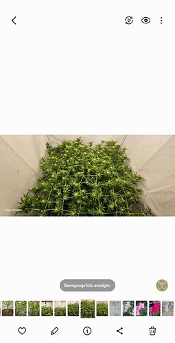 Screenshot_20240909_083854_Gallery