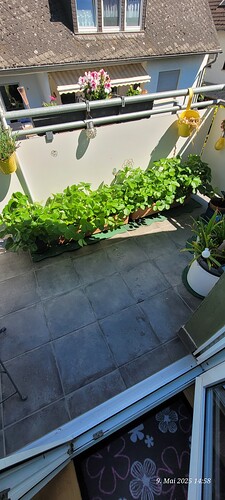 9.5.25 aus der Freiland Haltung