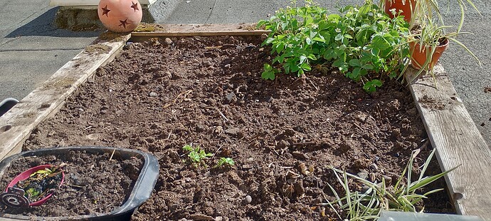 IMG_20250501_171701_HDR