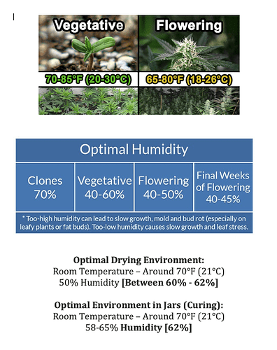 Screen Shot 2022-10-10 at 7.51.11 AM