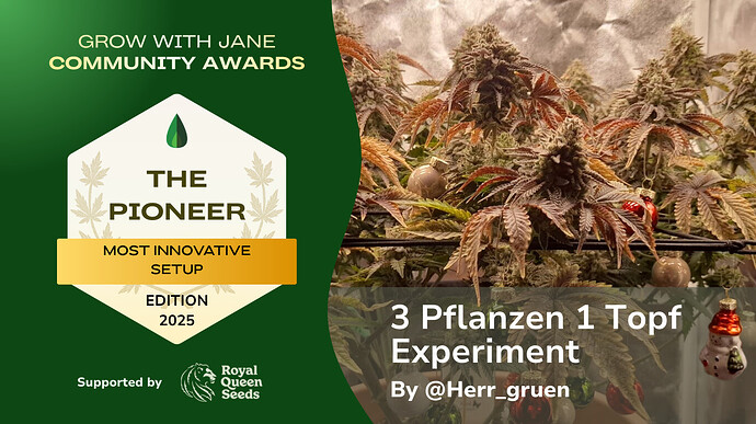 GWJ Community Awards 2025 - The Pioneer Winner