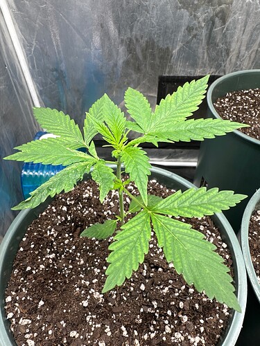 IMG_2E8B49FC-140D-475E-B775-5DB338520798