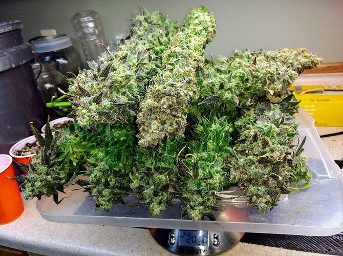 d60596e4-3275-4b96-ac15-aff74b3ce87c-1_all_1054