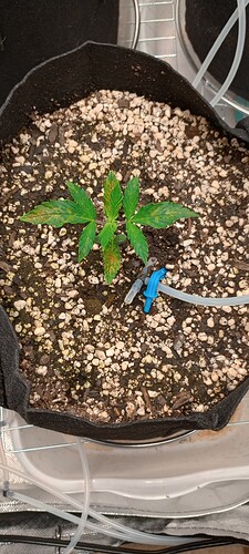 IMG_20240813_151226395_HDR